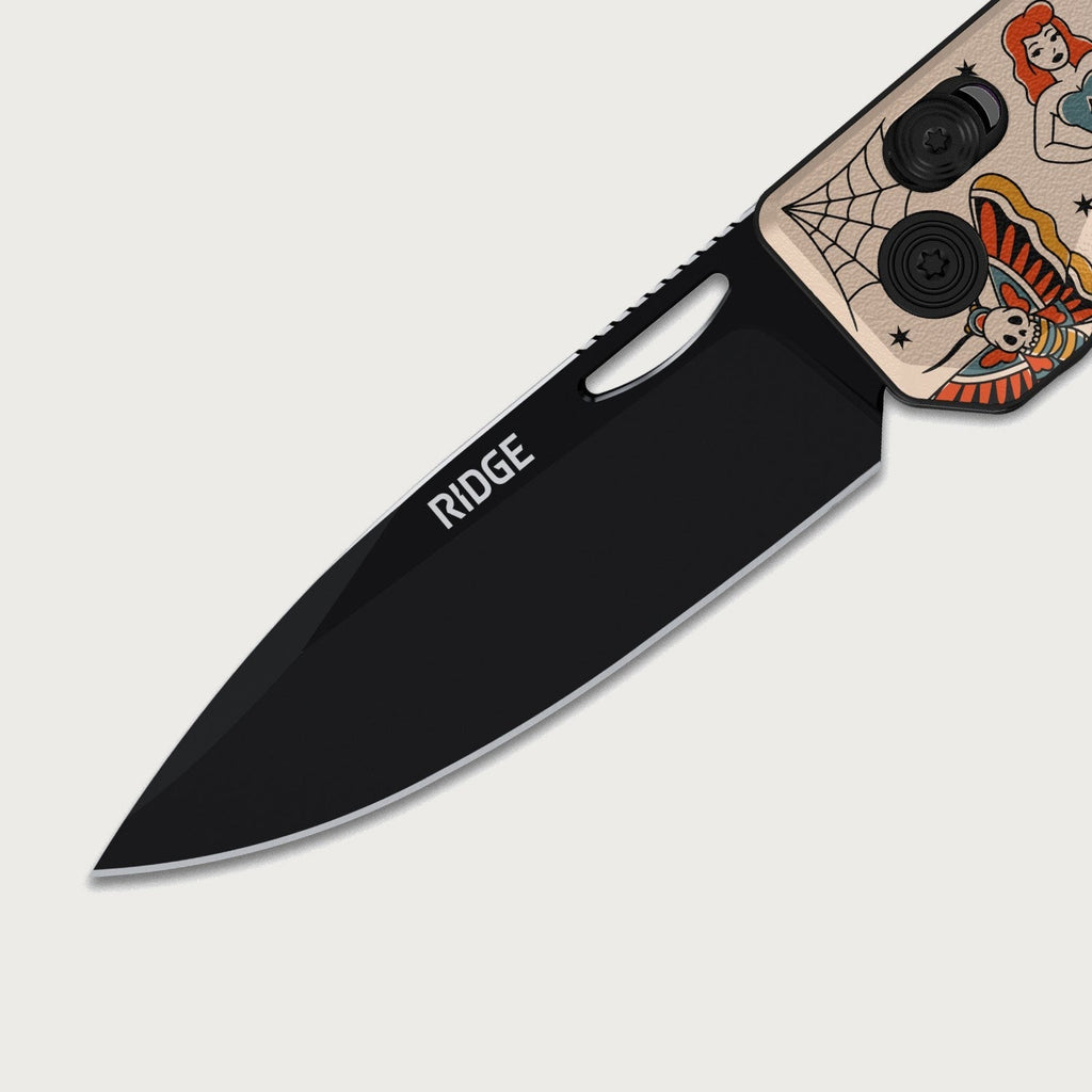 Everyday Folder - Traditional Flash - Color