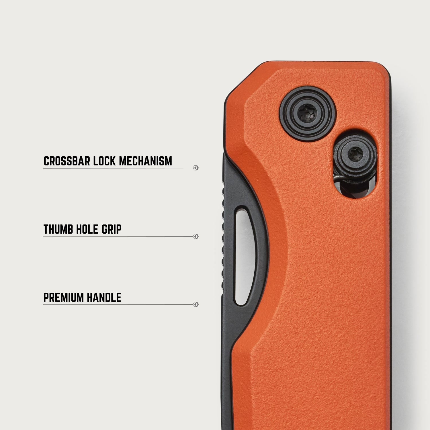 Everyday Folder - Traditional Flash